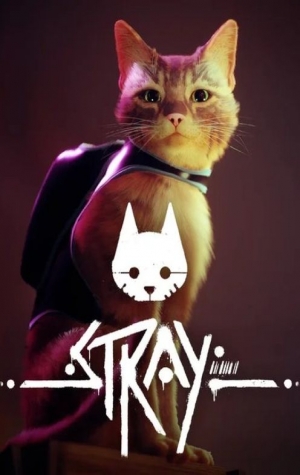 Stray