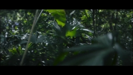 One Hundred Years of Solitude - Season 01 Episode 01