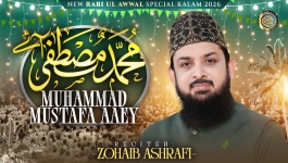 Muhammad Mustafa Aaey